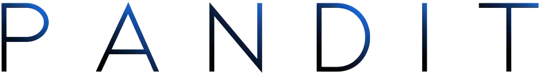 Logo Typographique de Pandit